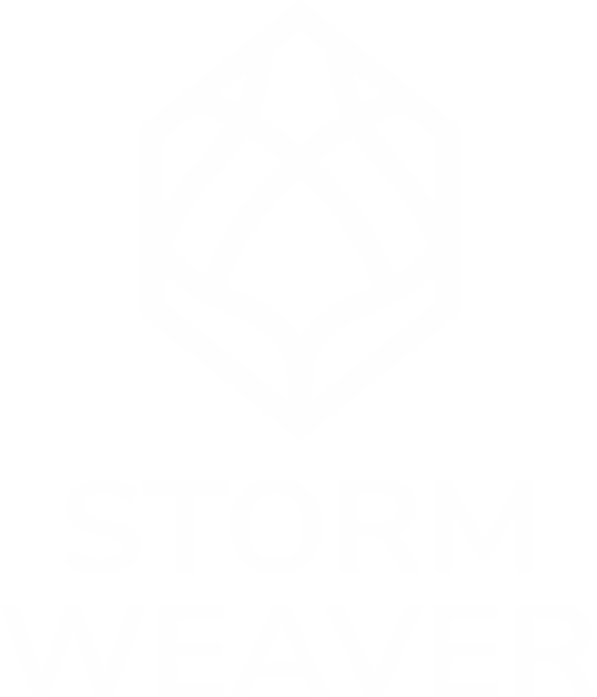 STORM WEAVER